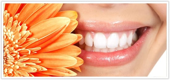 Cost-of-upper-dentures Cost of upper dentures